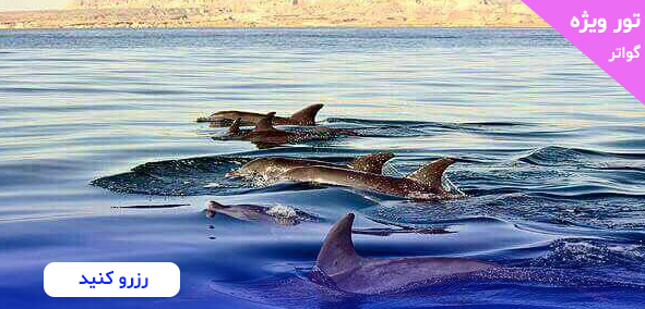  تور گواتر چابهار